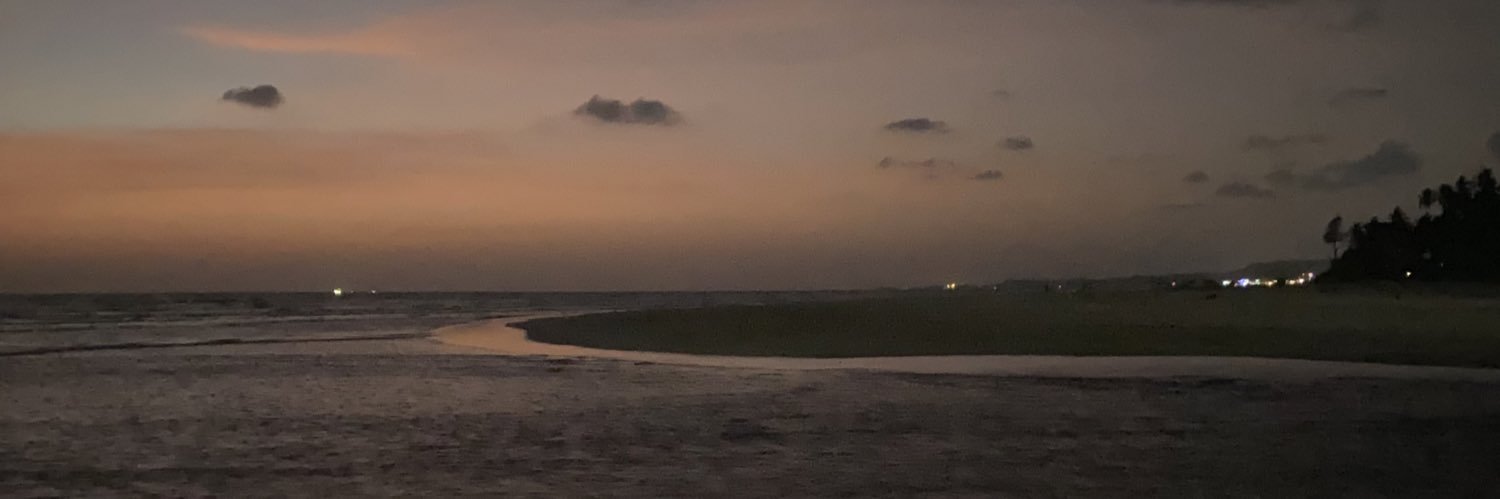 rituparanandi's profile banner image