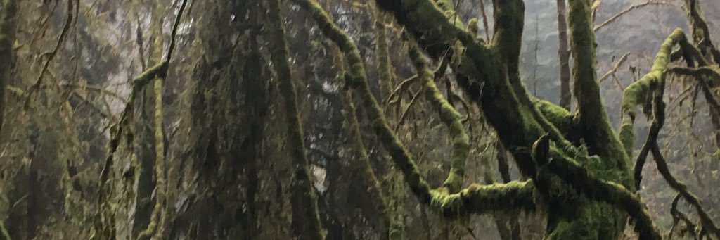 VincentBeltrone's profile banner image