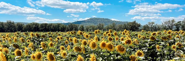 Ines_Duhard Profile Banner