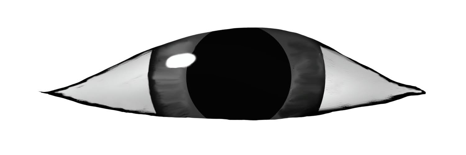 migihito's profile banner image