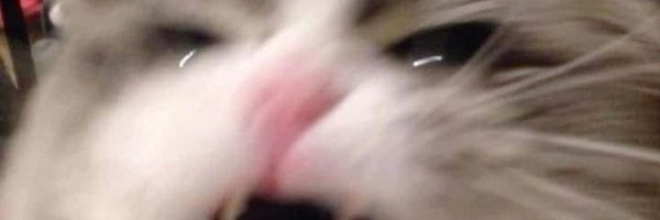 conseitnsfw Profile Banner