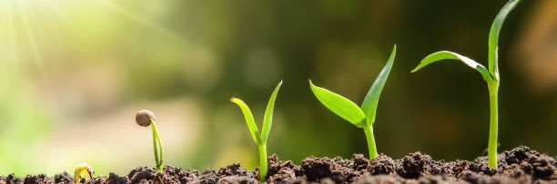 Mrs. Simplice, M.Ed. banner