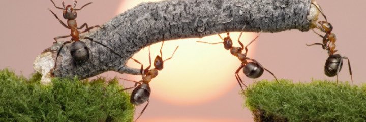 EdisonNaula_'s profile banner image