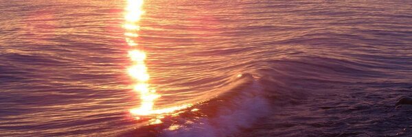 IRINA Profile Banner