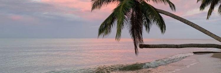 chunliii31's profile banner image