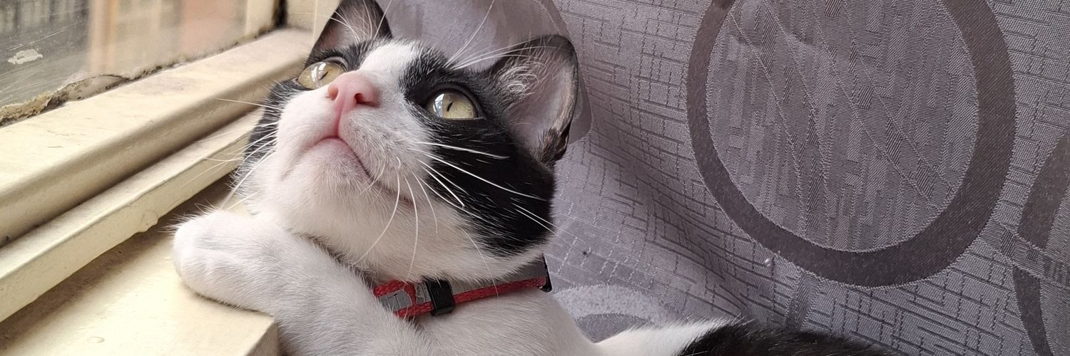 lgeraldinr's profile banner image