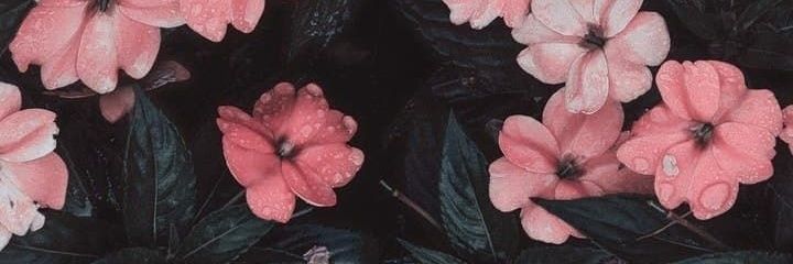 2Odetteugalde's profile banner image