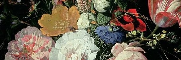 jeieli ࣪ ִֶָ☾. banner