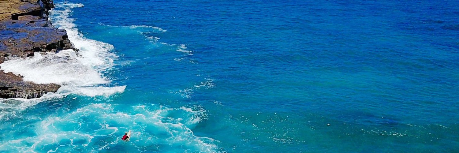 PacBleu's profile banner image