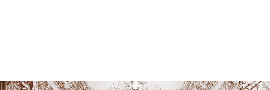 regalfox's profile banner image