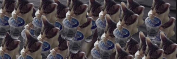 KrinceIs Profile Banner