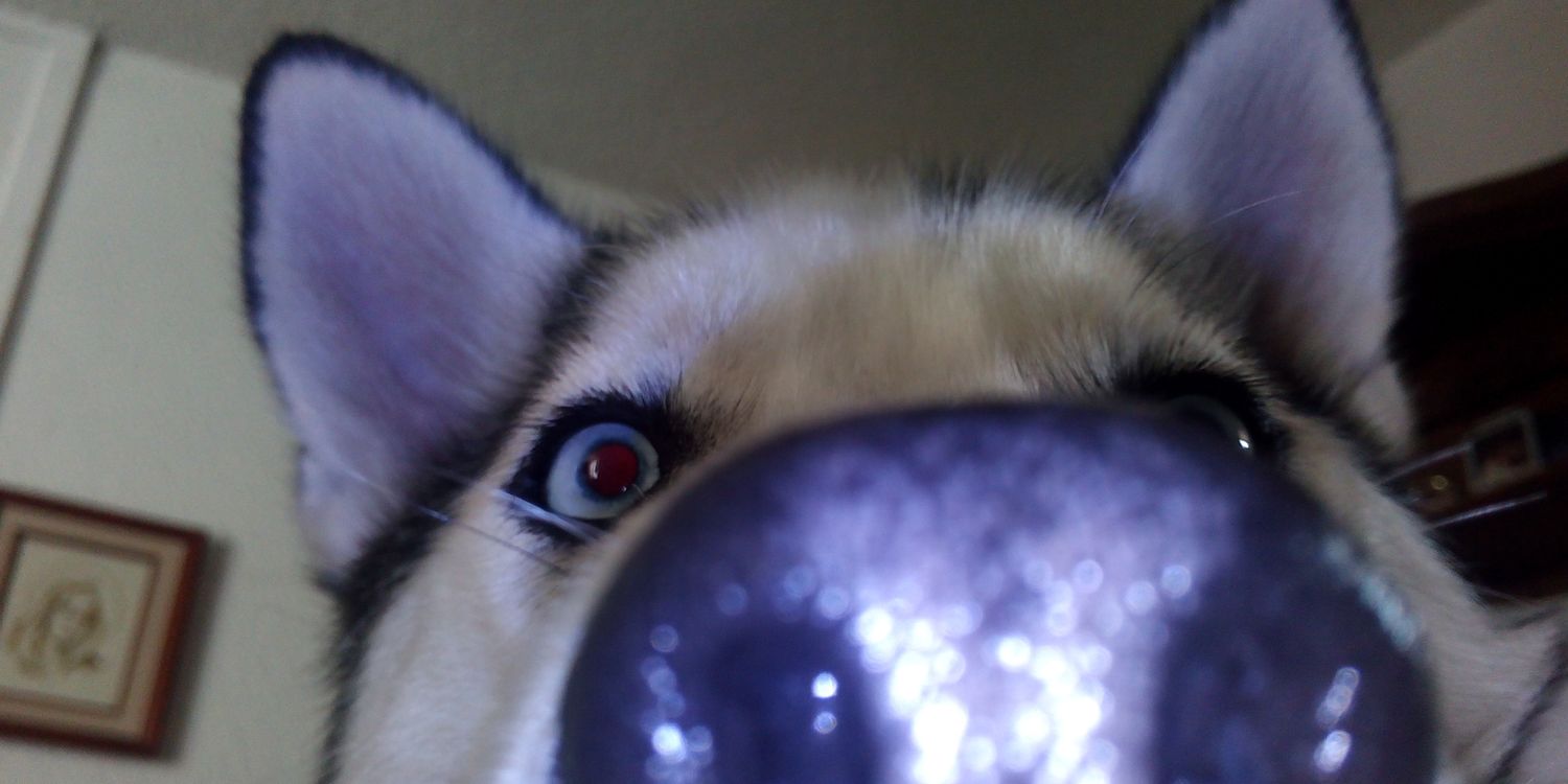 MaJito33's profile banner image