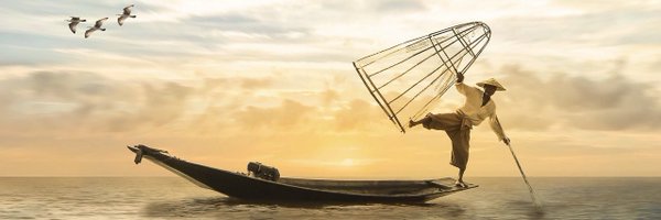 HouseOfBrains Profile Banner