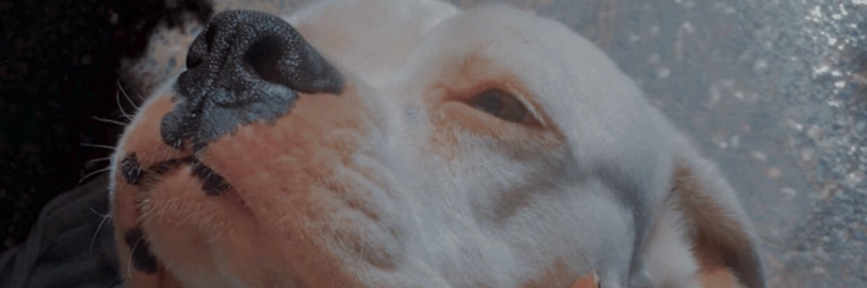 MaridelSoll's profile banner image