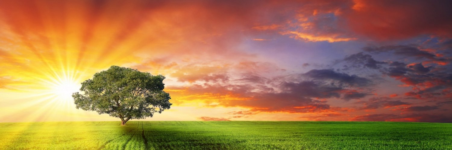 _Karlito311's profile banner image