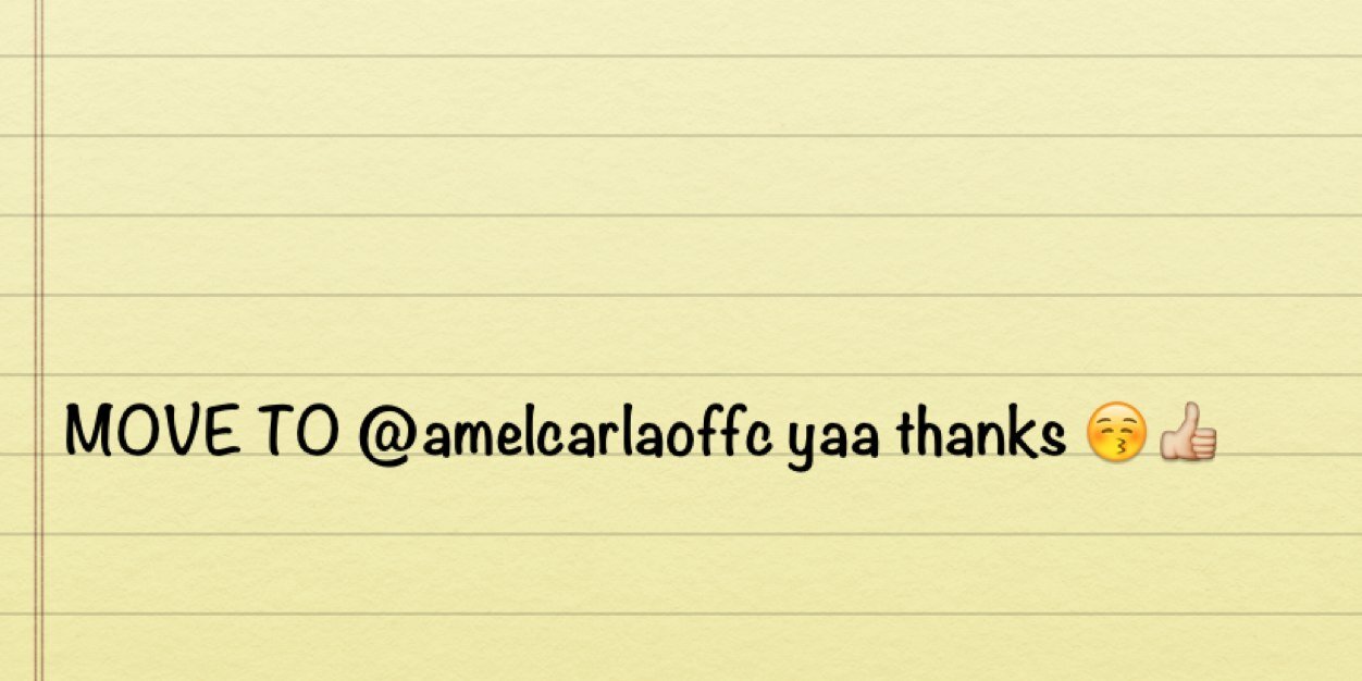 Amel Carla banner