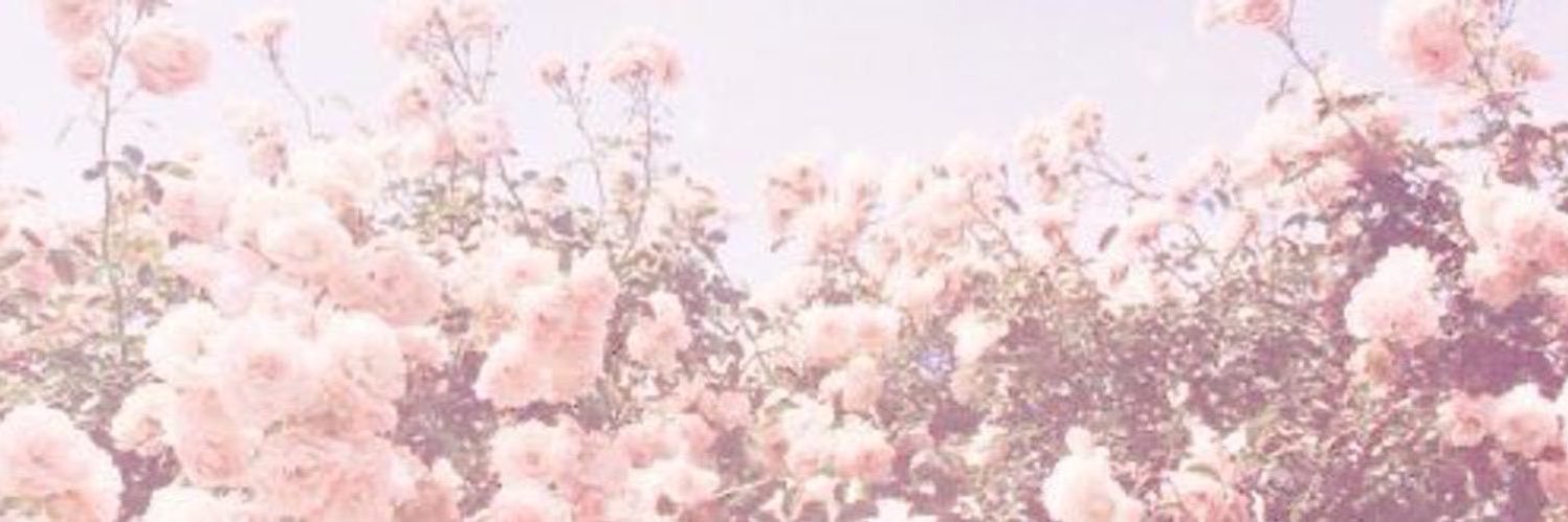 squishieyoogie's profile banner image