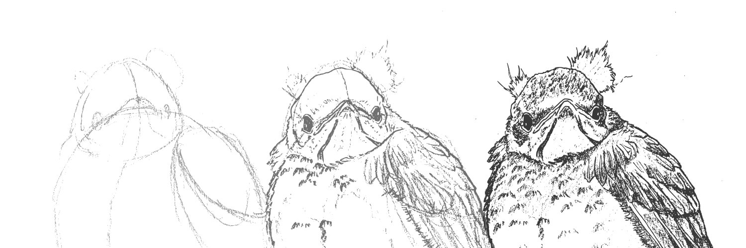 Shane D'Souza, PhD banner