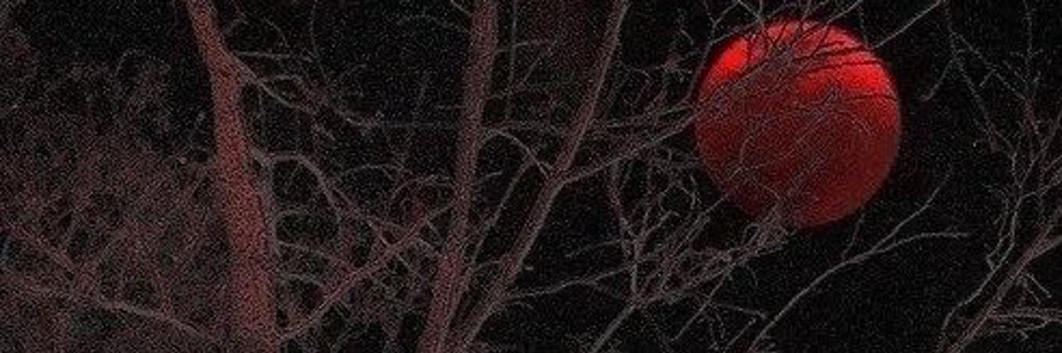 Qvziii's profile banner image