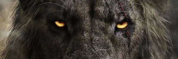 NehemiahBarret2 Profile Banner