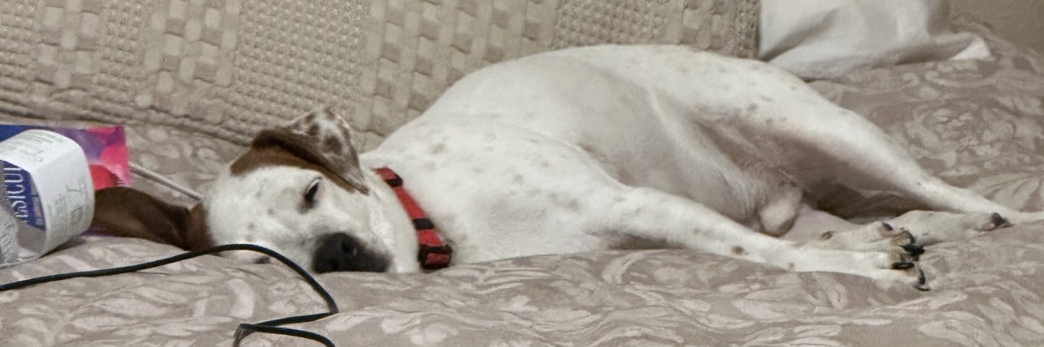 BASHHH ♪☆ banner