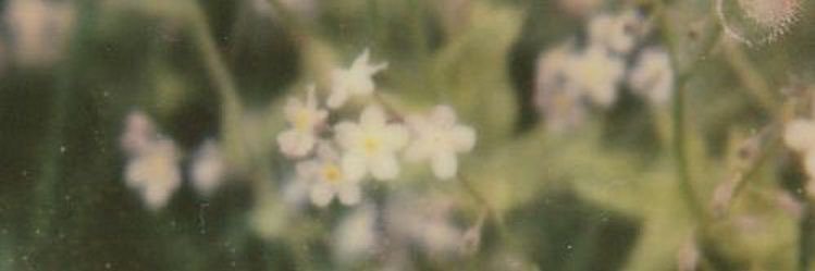delicehyun's profile banner image