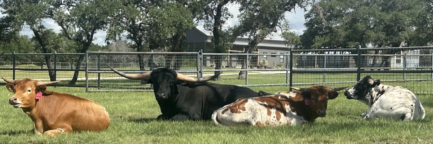 TX223Step's profile banner image