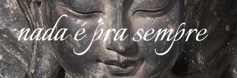 bela banner