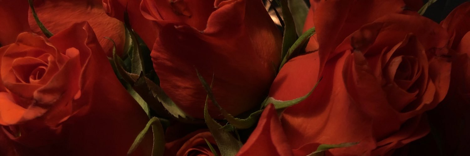 didiprx's profile banner image