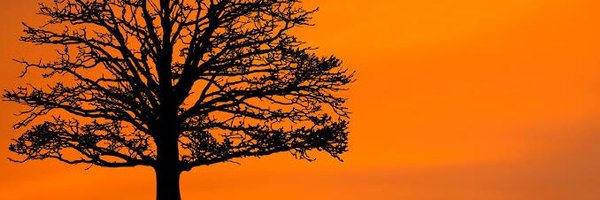 charpheal Profile Banner