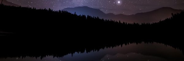 codex_bugmenot Profile Banner