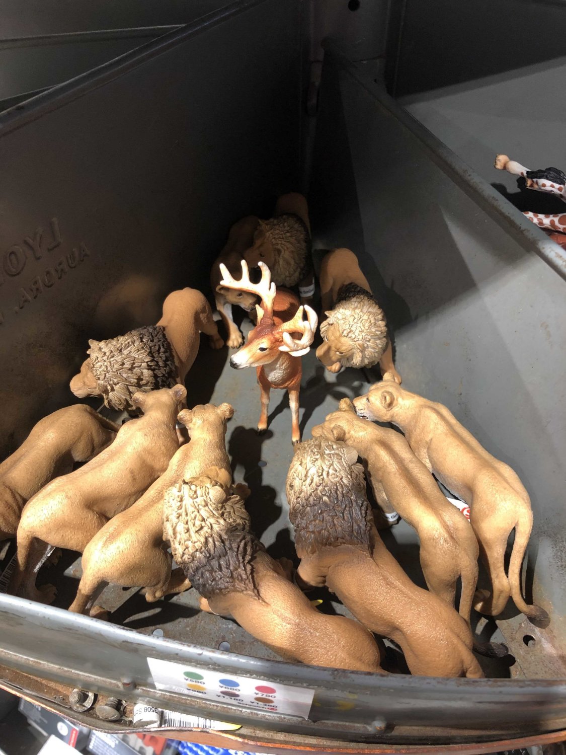 ワタナベシンペイ banner