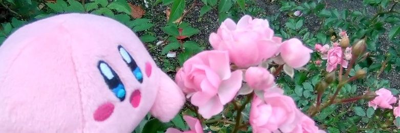 choshika's profile banner image