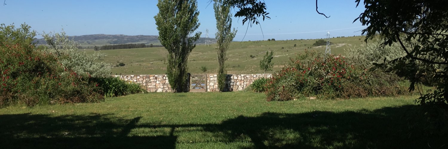 MateoPerillo's profile banner image