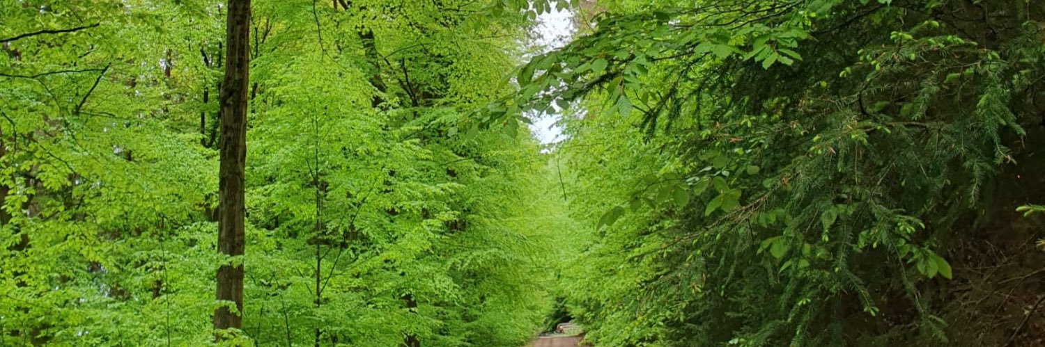 Realistin5🇺🇦📯 banner