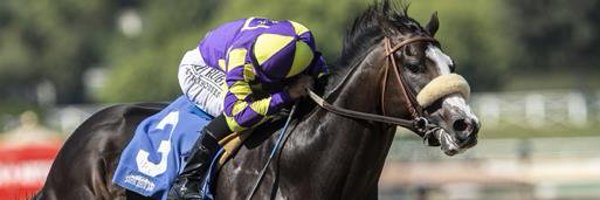 StablesCrk Profile Banner