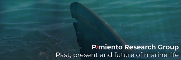 PimientoGroup Profile Banner