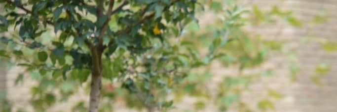 جواد حسينی's banner