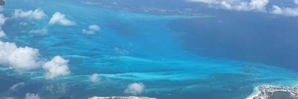 solelephant Profile Banner
