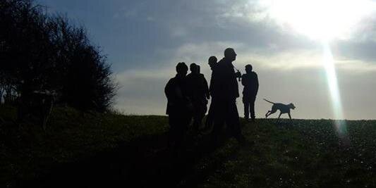 SouthamptonSabs's profile banner image