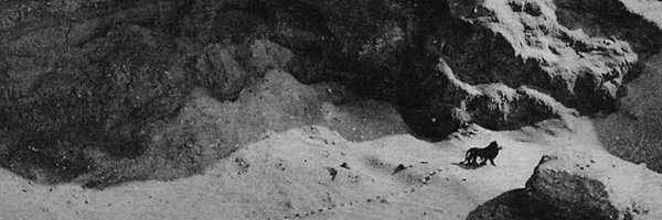 faterautha Profile Banner