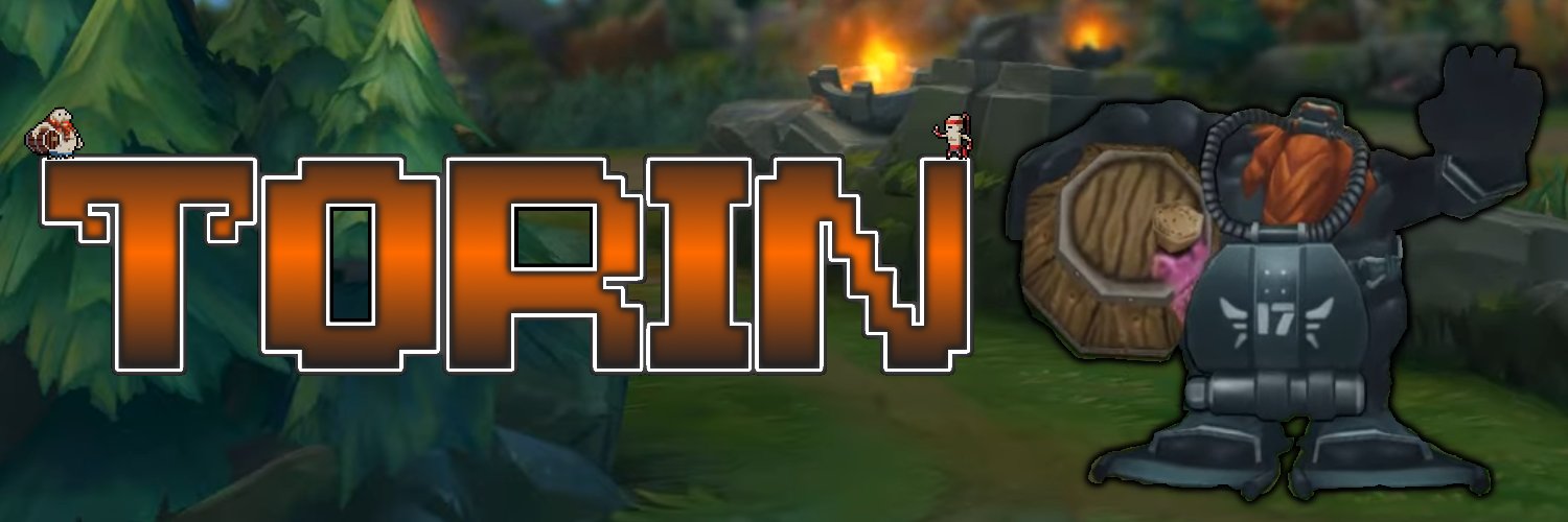 Torin banner