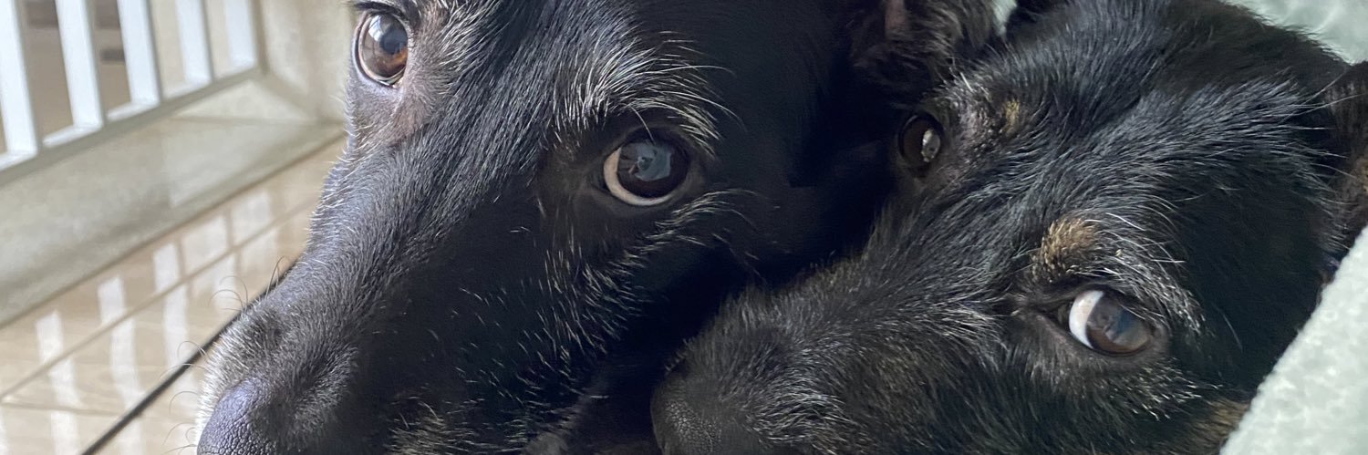 duvasconcelos_'s profile banner image