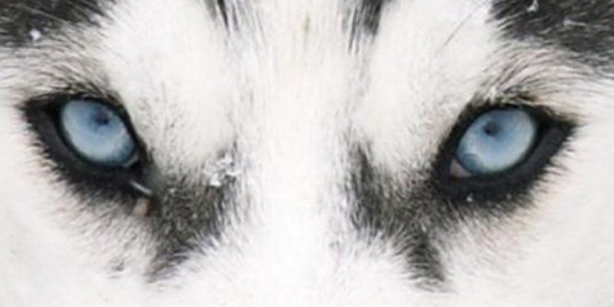 jcesar252007's profile banner image