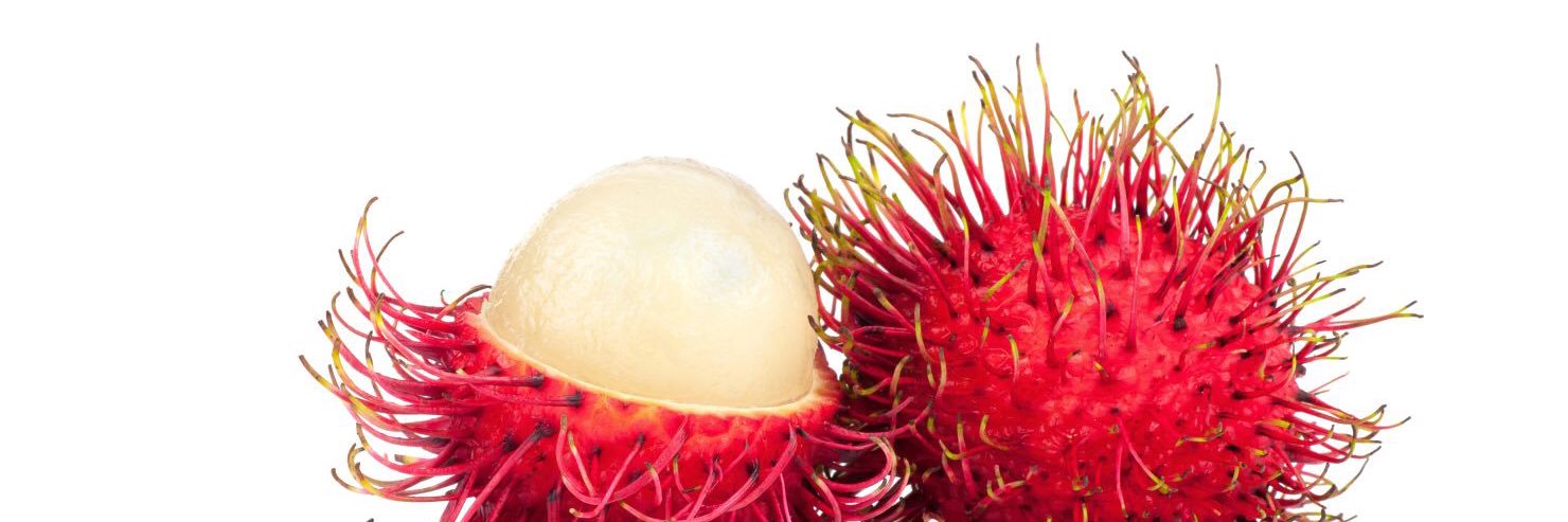 BcFruit's profile banner image