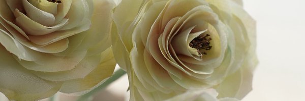 chimaimon Profile Banner