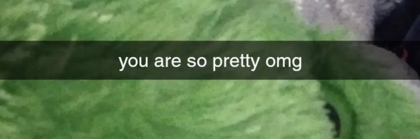 A Wilde Thing banner