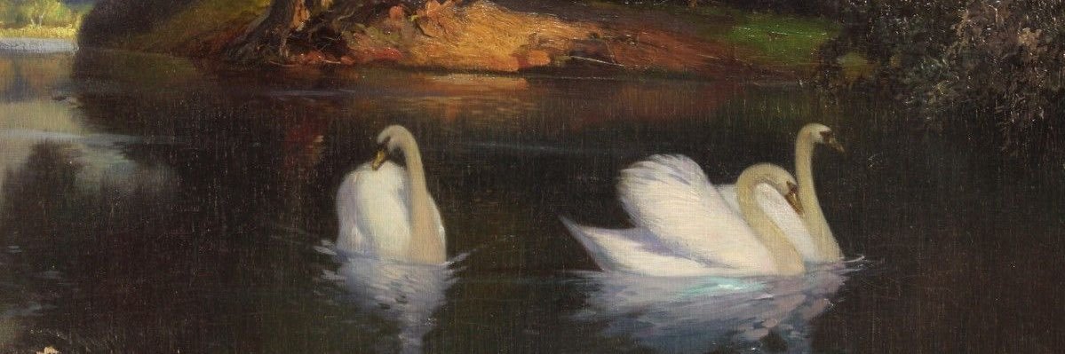 𝐃𝐚𝐢𝐬𝐲 banner