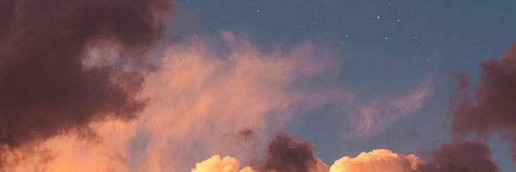 Sensei banner