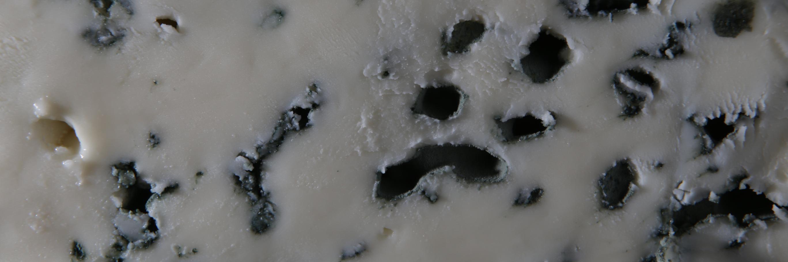 CorneliusCheese's profile banner image